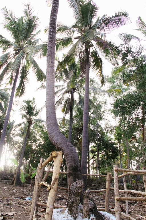 Готель Nyuh Bengkok Tree House Batununggul Екстер'єр фото